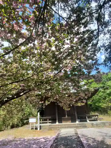 日光鹿島神社の自然