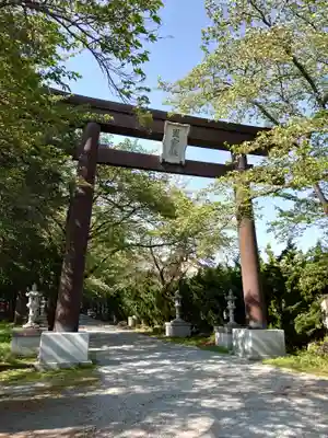 冨士御室浅間神社の鳥居