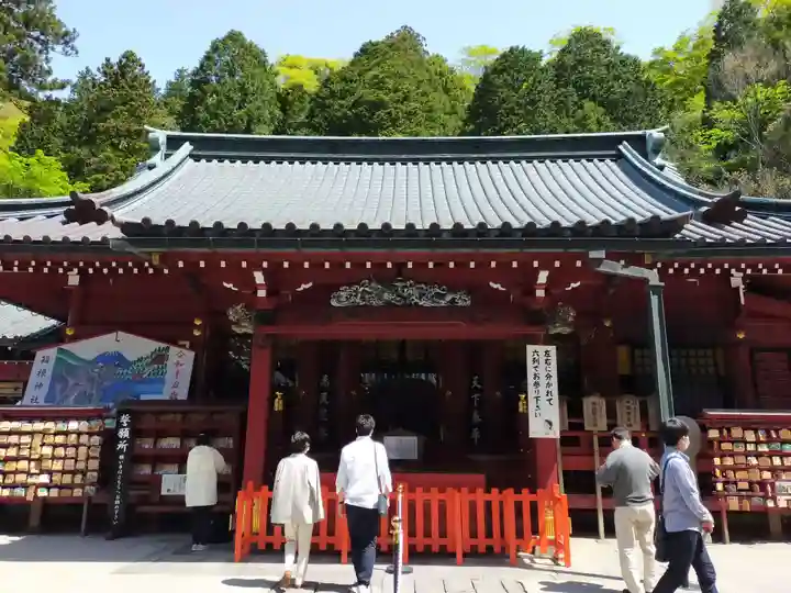 箱根神社の本殿・本堂