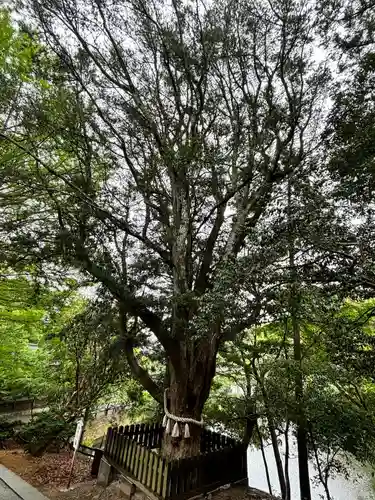 安房神社(千葉県)