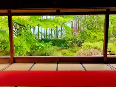 宝泉院(京都府)