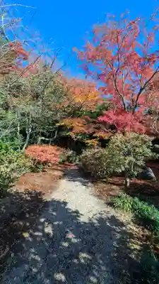 法金剛院(京都府)