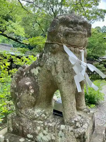 忌部神社の狛犬