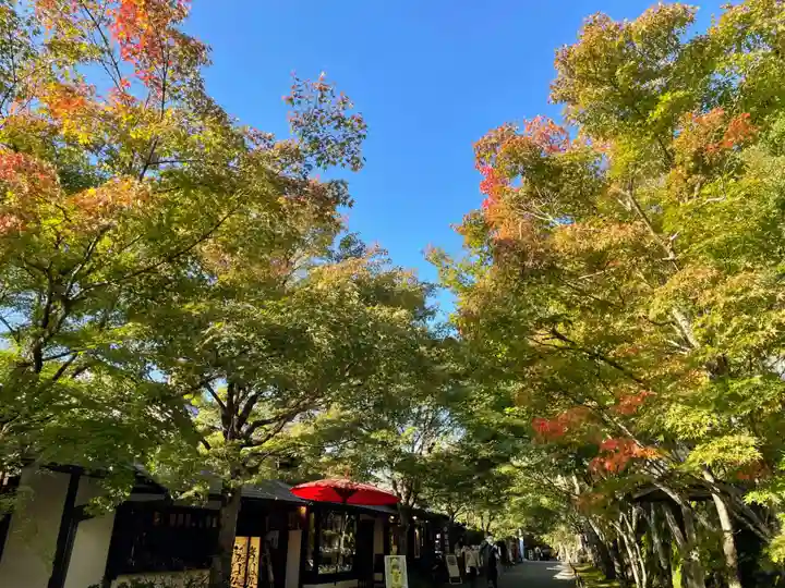実光院(京都府)