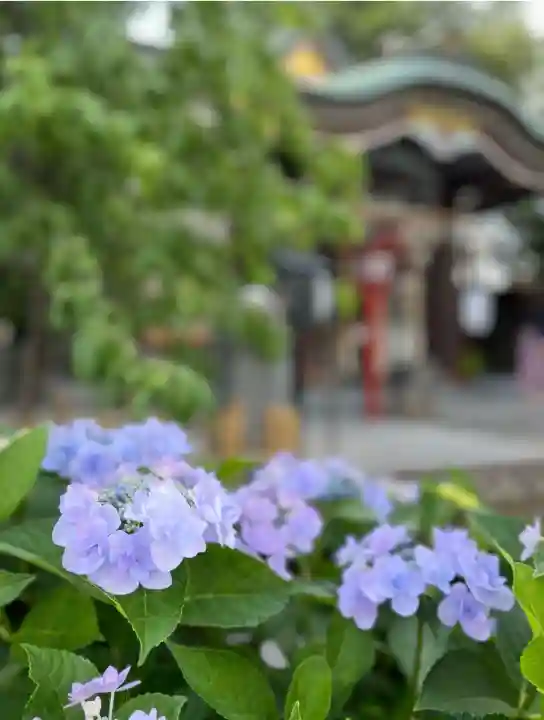 川越八幡宮(埼玉県)