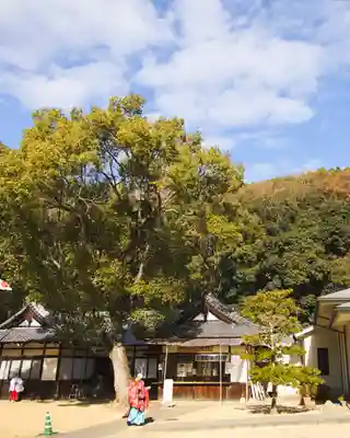 岡山縣護國神社(岡山県)