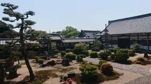 興聖寺（興聖寶林禅寺）の庭園