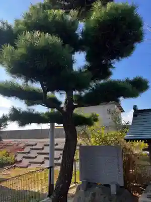 竜宮神社の自然