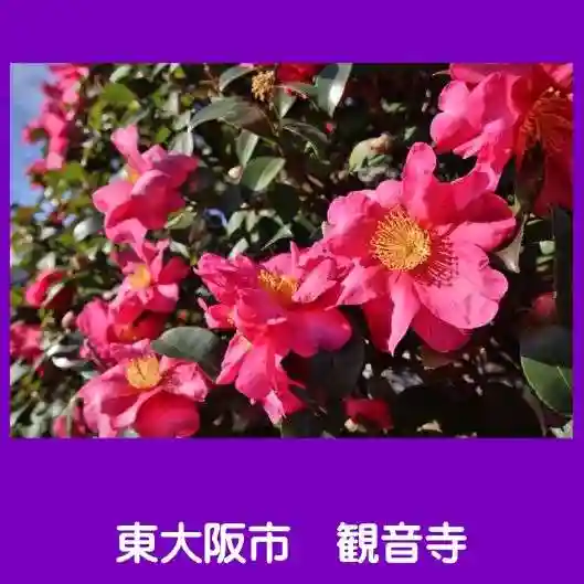 観音寺(大阪府)