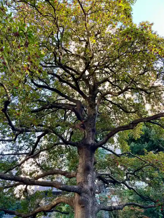 天徳寺(東京都)