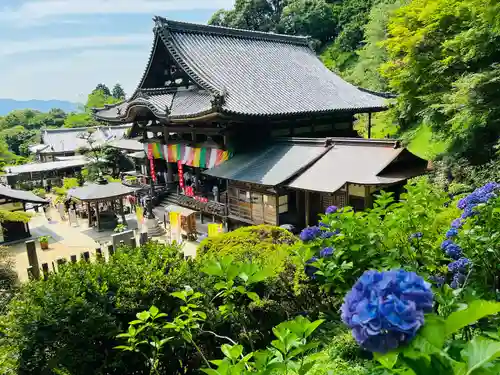 岡寺（龍蓋寺）(奈良県)
