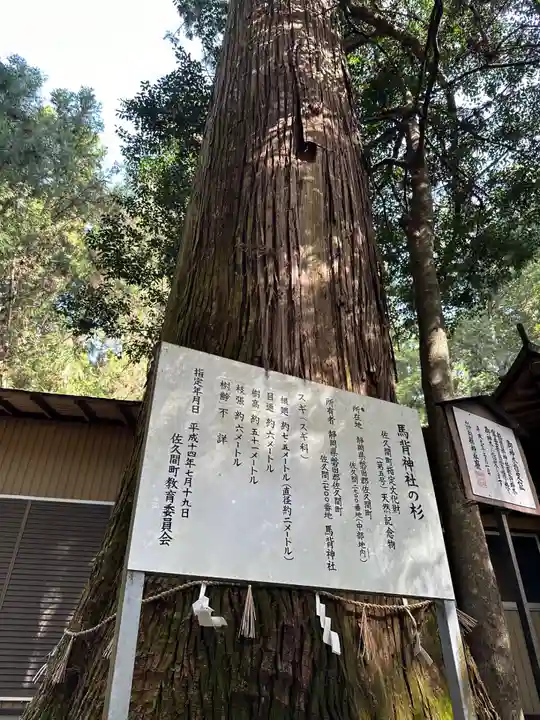 馬背神社(静岡県)