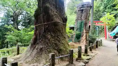 天龍寺(埼玉県)