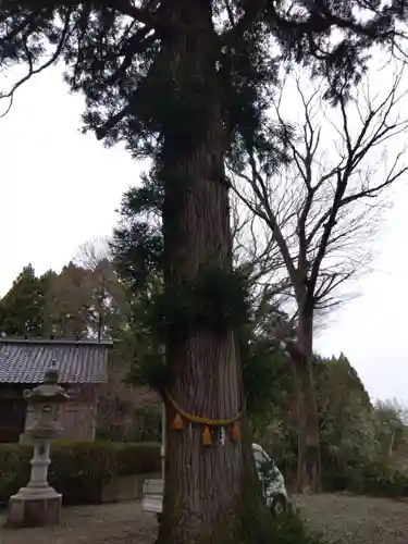 神明社(石川県)