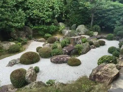 退蔵院の庭園