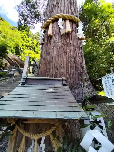 由岐神社(京都府)