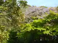 浄光明寺の自然