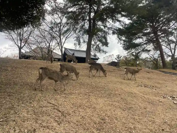 東大寺戒壇院戒壇堂(奈良県)