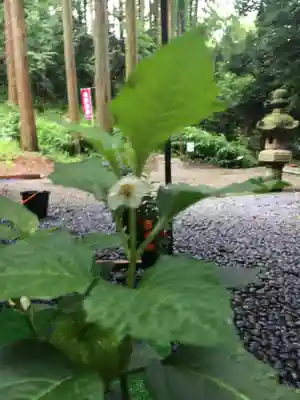 愛宕神社のその他建物