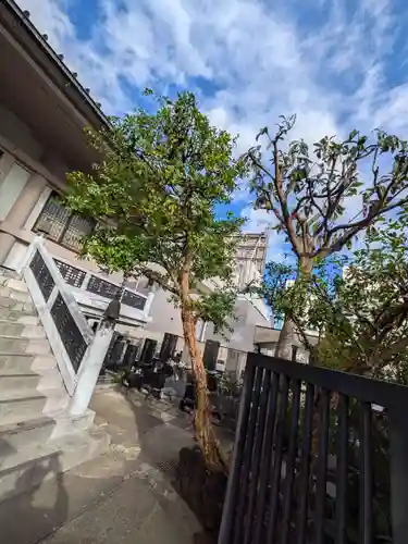 専勝寺(東京都)