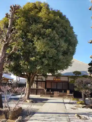 清泰寺の本殿・本堂