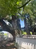 岡中鎮守社(大阪府)