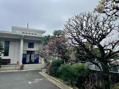 宗善寺(東京都)