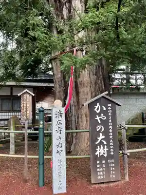 済広寺(静岡県)