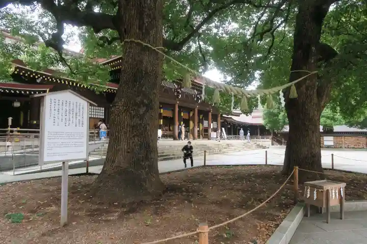 明治神宮(東京都)