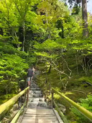 慈照寺（慈照禅寺・銀閣寺）(京都府)