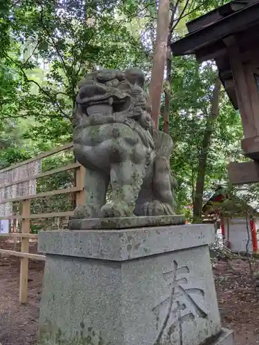 椿大神社の狛犬