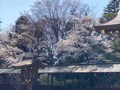 長野縣護國神社(長野県)