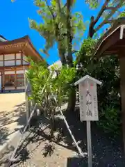 八剱八幡神社の自然