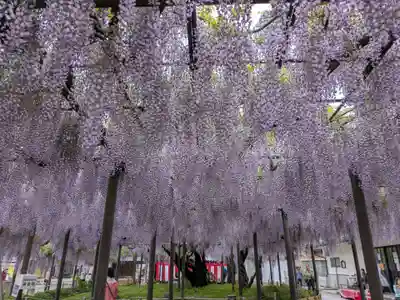 竹鼻別院(岐阜県)
