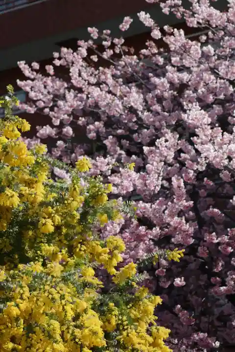 蔵前神社(東京都)