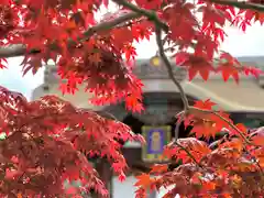 善光寺大本願(長野県)