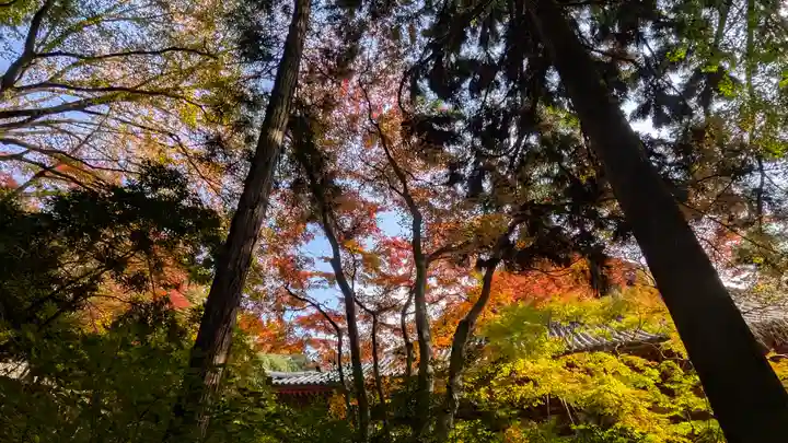 神護寺(京都府)