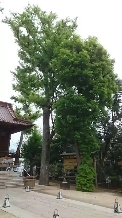 戸越八幡神社(東京都)
