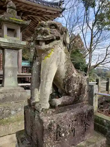 綾部八幡神社の狛犬