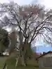 八幡宮社(京都府)