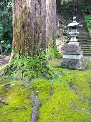 安波賀春日神社(福井県)