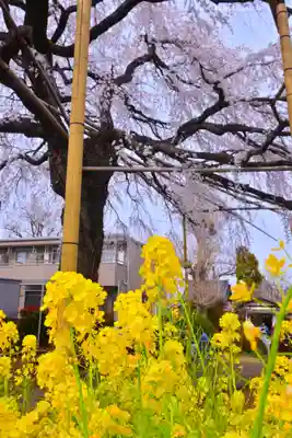 栗谷須賀神社(神奈川県)