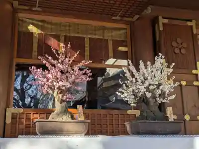 湯島天満宮(東京都)