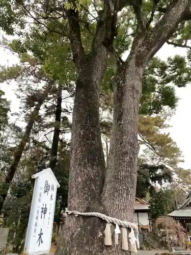 玉村八幡宮のその他建物