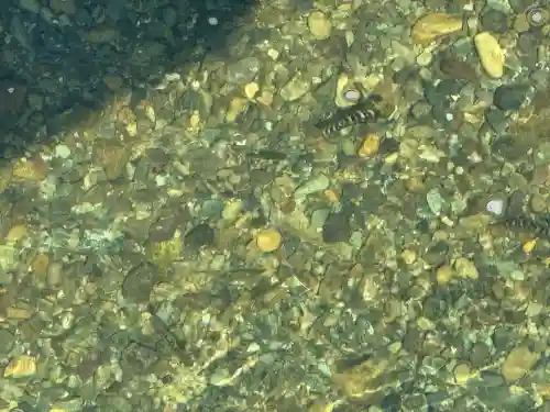 伊勢神宮内宮（皇大神宮）(三重県)