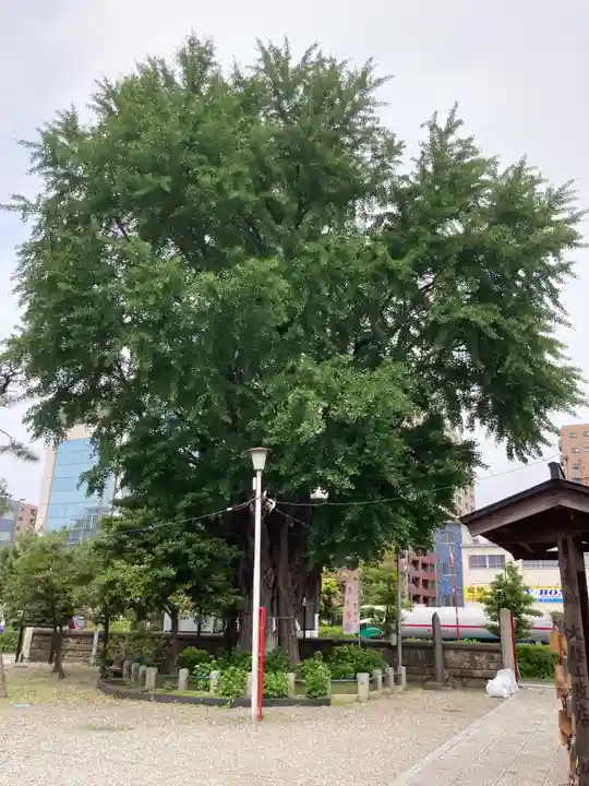 磐井神社(東京都)