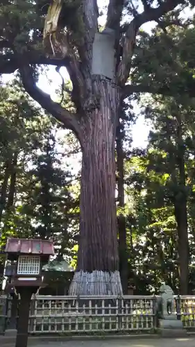 日高神社の自然