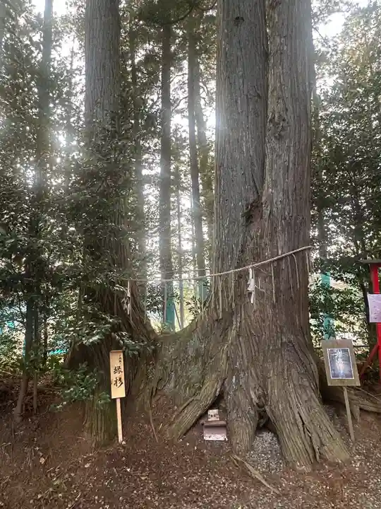 坪沼八幡神社(宮城県)