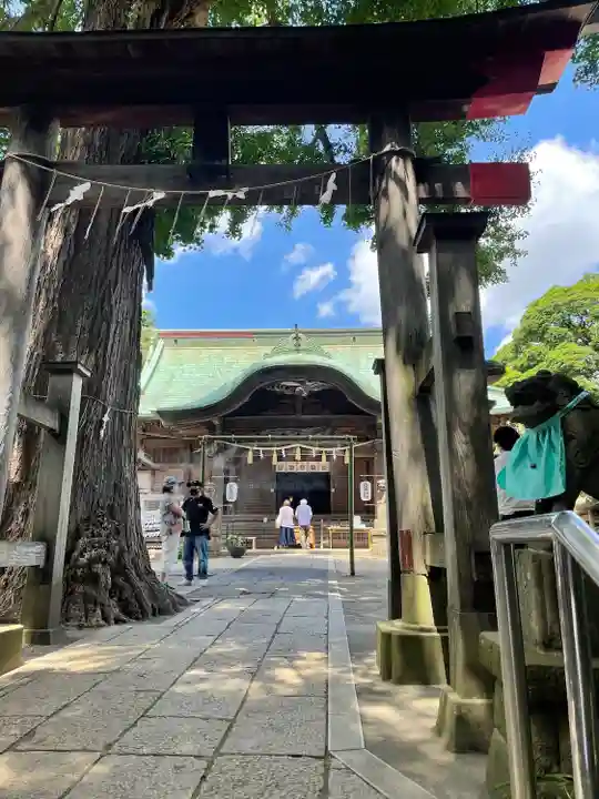 下総国三山 二宮神社の鳥居