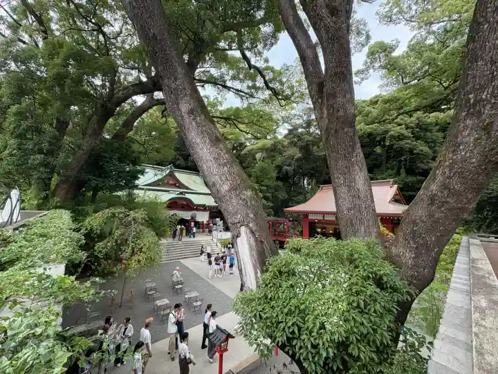 來宮神社(静岡県)